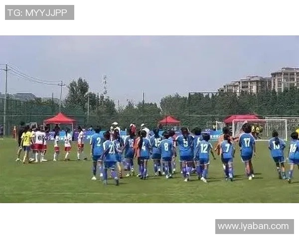 从绿茵场到篮球场看足球球星与篮球球星的实力差异与影响力比较