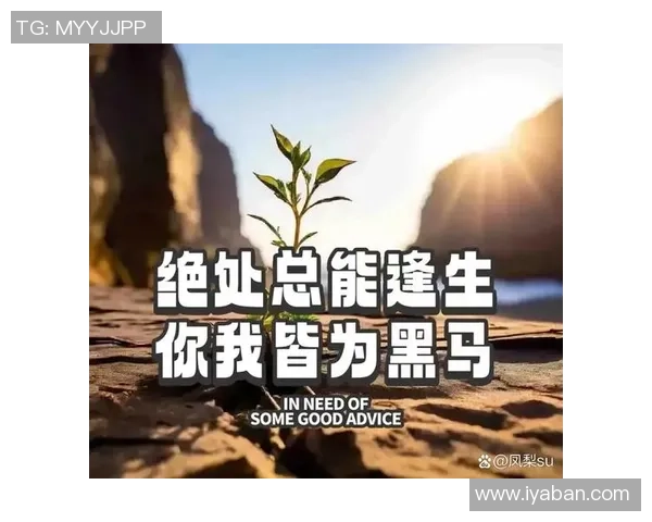 从巅峰到低谷:那些坠落的足球明星们的沉浮人生 从巅峰到低谷:那些坠落的足球明星们的沉浮人生